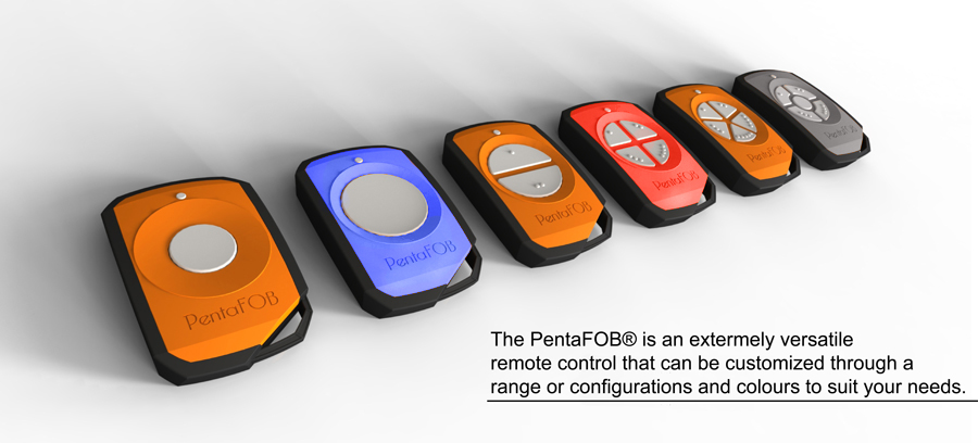 PentaFOB remote control in different colors